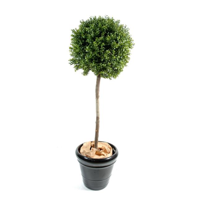 Buis Artificiel Tige Boule NEW - Topiaires Artificielles